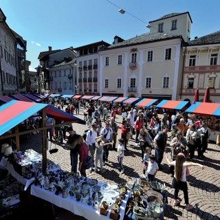 bellinzona_market