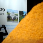 mostra-expo013148
